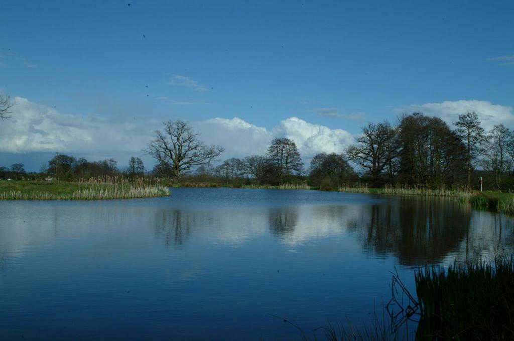 Netley Hall Dorrington エクステリア 写真